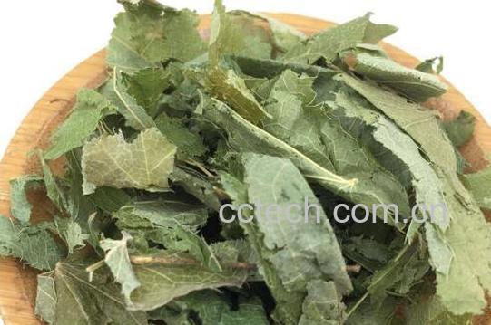 仙灵脾的功效与作用及药用价值-1