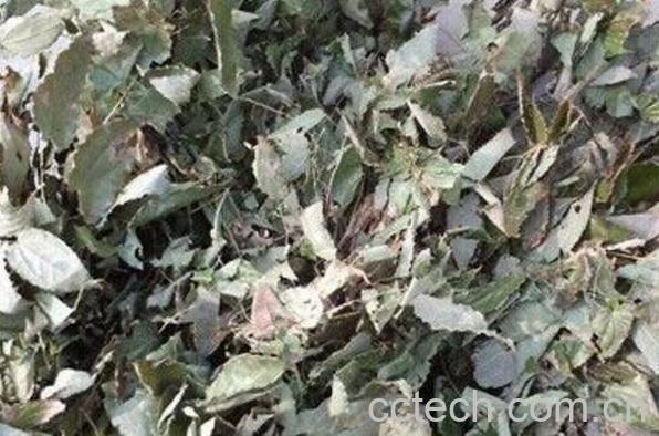 霪羊藿如何泡水喝 霪羊藿泡水喝的作用-0