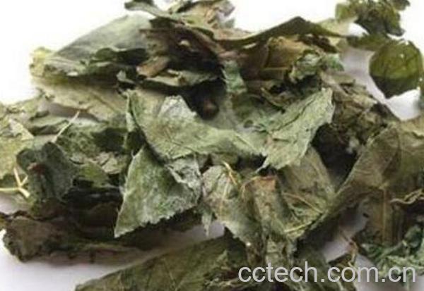 霪羊藿如何泡水喝 霪羊藿泡水喝的作用-1