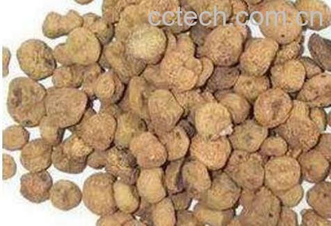 醋延胡索的功效与作用及药用价值-0