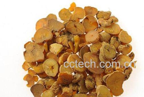 醋延胡索的功效与作用及药用价值-1