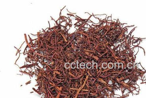 蜜紫菀的功效与作用及药用价值-0