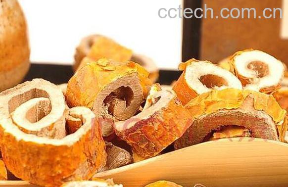 蜜桑白皮的功效与作用及药用价值-1