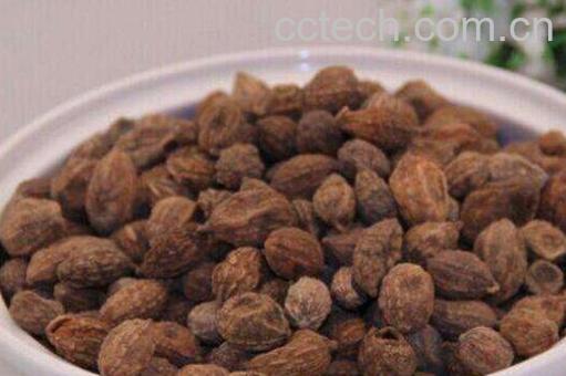 益智仁泡水喝的功效 益智仁泡水喝的副作用-0