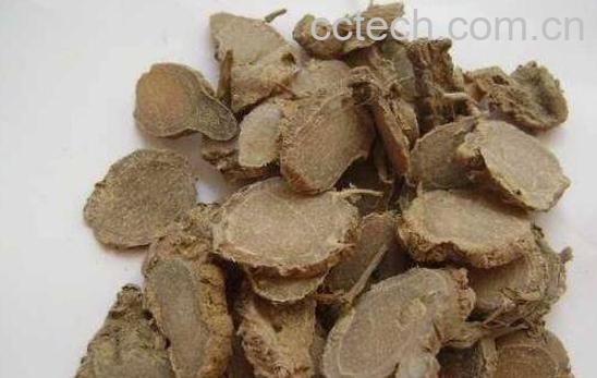 醋莪术的功效与作用-0