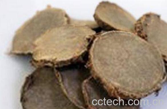 醋莪术的功效与作用-1