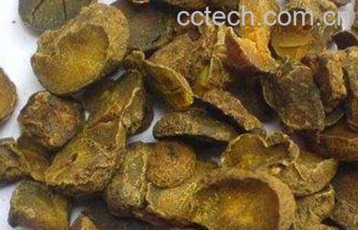 三棱莪术的功效与作用-0