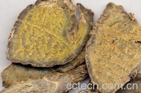 三棱莪术的功效与作用-1