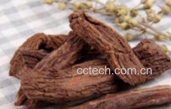 锁阳泡水喝的正确方法 锁阳泡水喝的禁忌-0