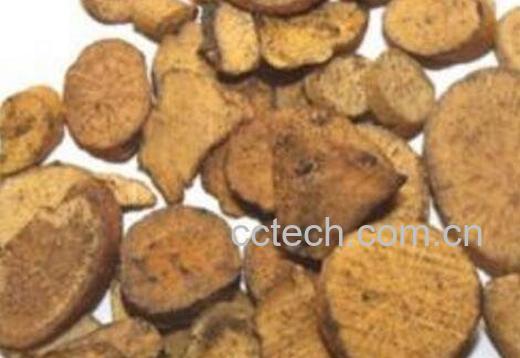 麸炒泽泻的功效与作用-0