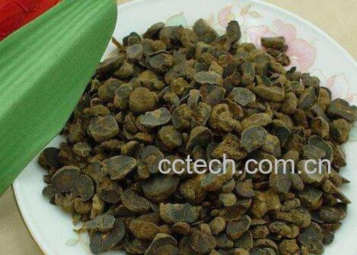 醋延胡索功效与作用-0