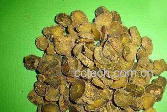 醋延胡索功效与作用-1