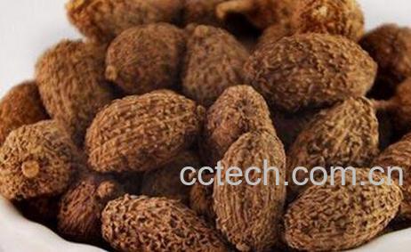 砂仁的功效与作用及药用价值-0