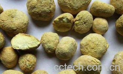 法半夏的功效与作用及药用价值-1