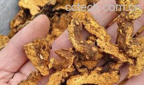 麸炒苍术的功效与作用-1