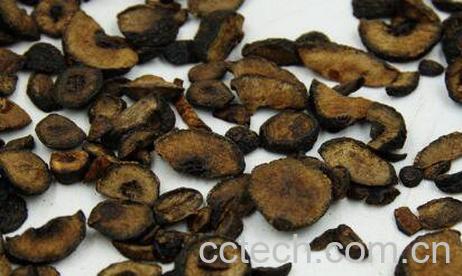 麸炒枳实的功效与作用-1