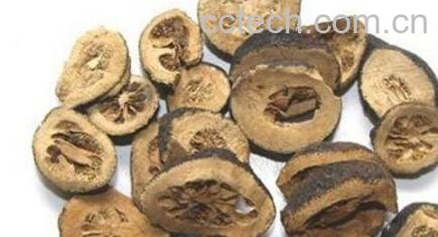 麸炒枳实的功效与作用-0