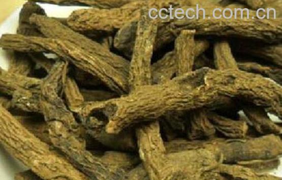 仙茅泡水喝的功效与作用-0