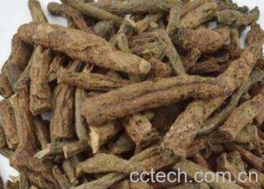 仙茅的功效与作用-1