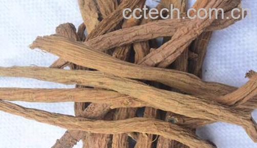 盐续断的功效与作用-0