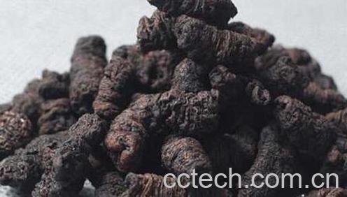 盐巴戟天的功效与作用-0