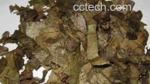 炙霪羊藿的功效与作用-0