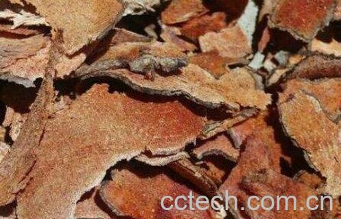 九牛力泡酒的功效好吗 九牛力泡酒的功效-0