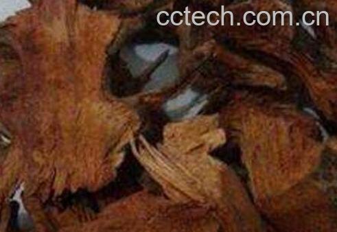 九牛力泡酒的功效好吗 九牛力泡酒的功效-1