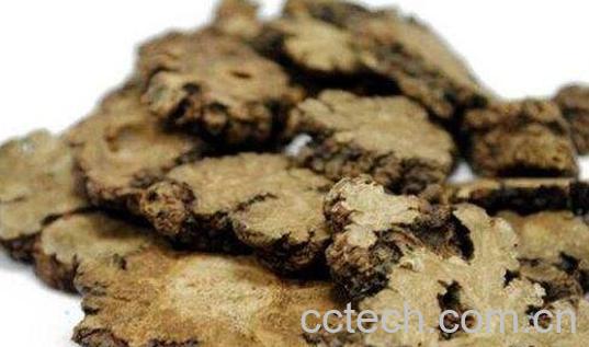 川芎的功效与作用及常见用法-0