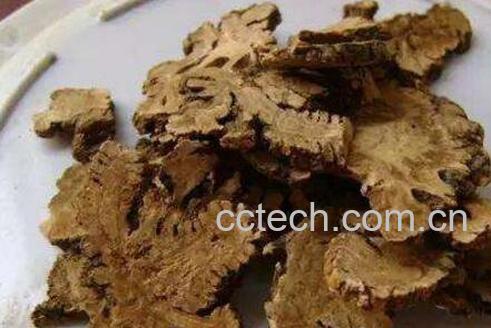 川芎的功效与作用及常见用法-1