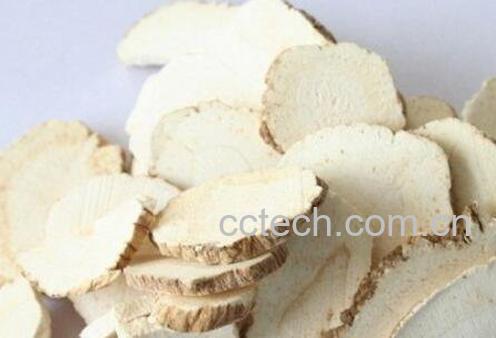 白芷的功效与作用-1