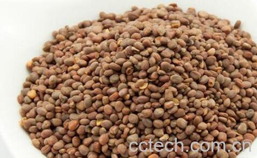 炒莱菔子功效与作用-0