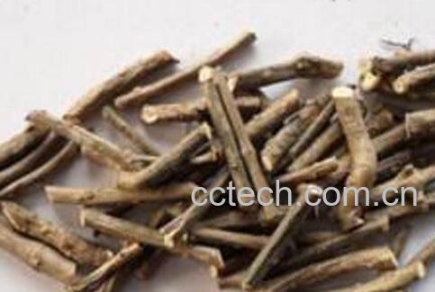 伸筋藤与伸筋草的区别-1