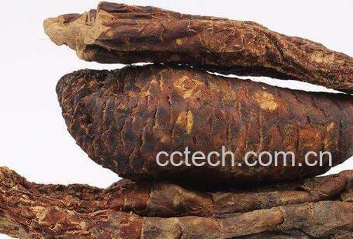  肉苁蓉泡水喝的步骤 肉苁蓉泡水喝的方法-1