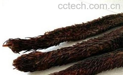 长期吃肉苁蓉的危害 肉苁蓉的危害极大-0