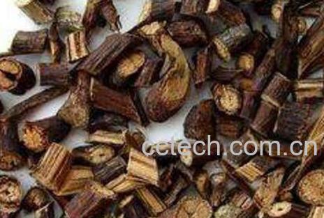 首乌藤的功效与作用及食用方法-0