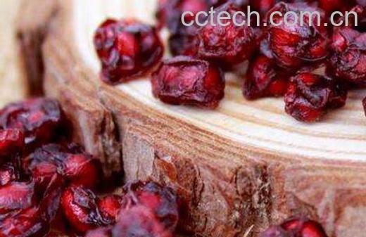 五味子泡水喝的功效与作用-1