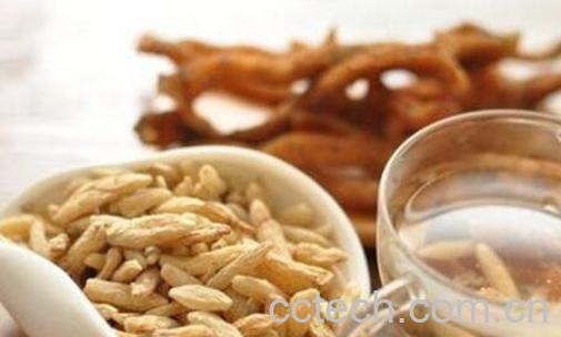 麦冬泡水喝的功效与作用-1