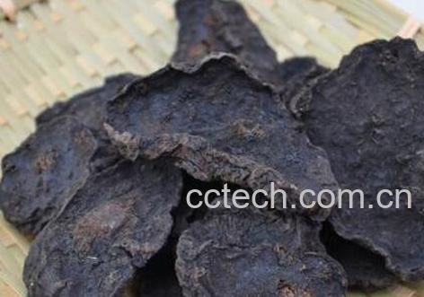 制何首乌可以泡水喝吗 制何首乌泡水的危害-0