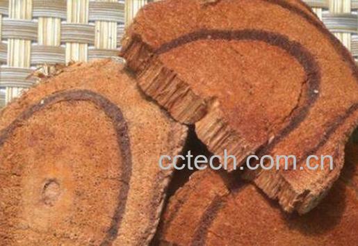 大血藤和鸡血藤的区别-1