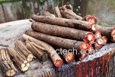 大血藤和鸡血藤的区别-0