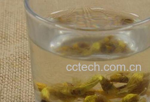 石斛泡水的功效与作用-0