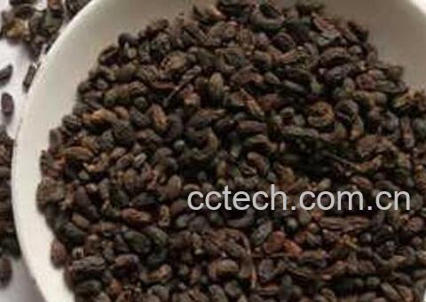 女贞子的功效与作用 女贞子的常见吃法-1