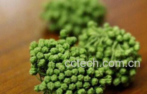 三七花的功效与作用 吃三七花的好处-0