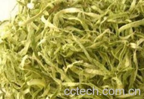 竹茹是什么 竹茹的功效与作用-0