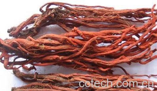 血参怎么吃好 血参的吃法技巧-0