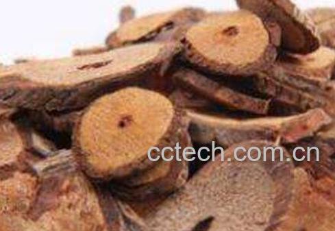 五香血藤的功效与作用及常见用法-0