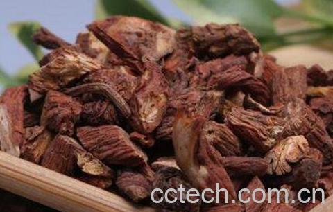 血参根的功效与作用-1