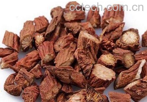 血参的功效与作用-1