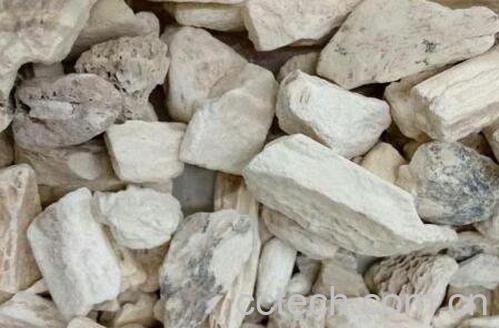 龙骨的功效与作用及禁忌-1